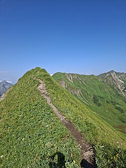 Beginn des Anstiegs zur Höferspitze über den Höfergrat