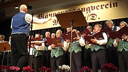 Liederabend am 18. Oktober 2013 in der Römerhalle in Mautern