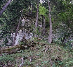 Die für diesen Weg und das hier befindliche Flurstück namensgebende Leiter ist etwa 15 Meter hoch