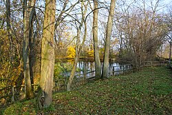 Kroetenteich Stammersdorf 01.jpg