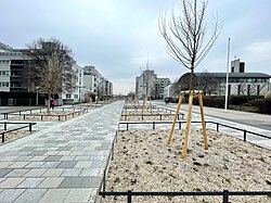 Der entsiegelte Theumermarkt im Februar 2025.