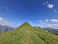 Blick über den Höfergrat zur Höferspitze