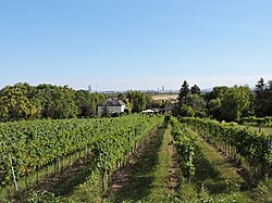 Blick von Zwerchbreitlngasse Richtung Clessgasse