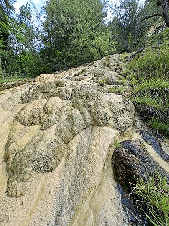 Lingenau-limestone tuff-08ASD.jpg