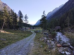 Trail in Göriach.jpg