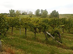 Ansicht im September