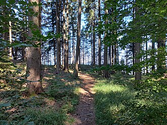 Blick von Hohe Lug (Berg) zum Aussichtspunkt Hohe Lug