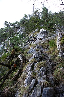 Fensterliwand-Steig über den Torbogen (Fenster)