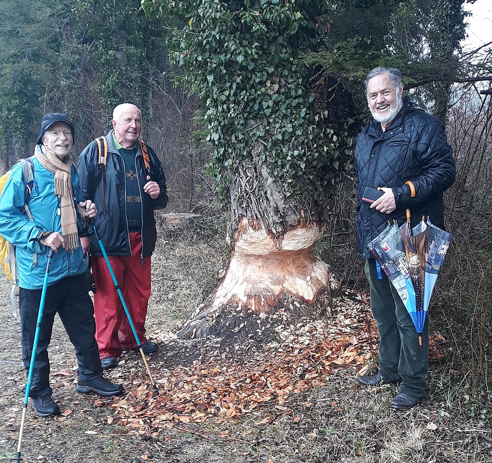 Datei:Am Spiersbach.jpg