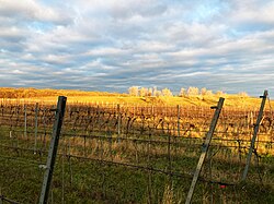 Blick in die Riede Gabrissen Blickrichtung Alter Pulverturm.