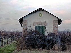 Keller Breitenweg 1.jpg