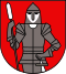 Wappen von Stadtschlaining