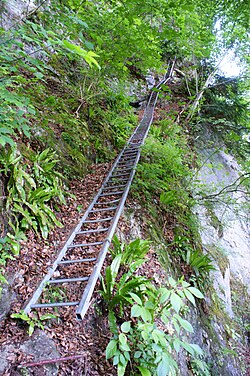 Der Anfang der Leiter